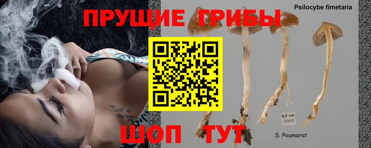 Псилоцибиновые грибы GOLDEN TEACHER Кушва