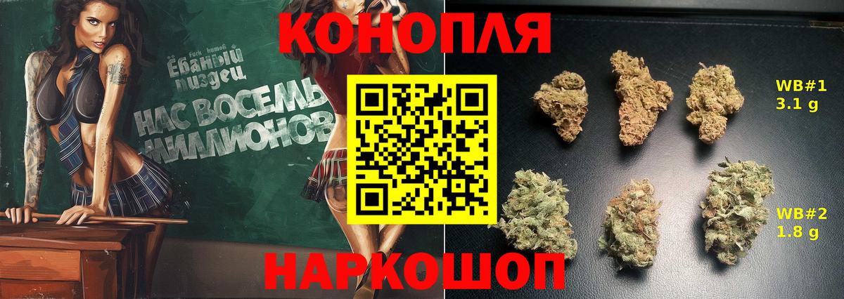 Каннабис сатива Кушва